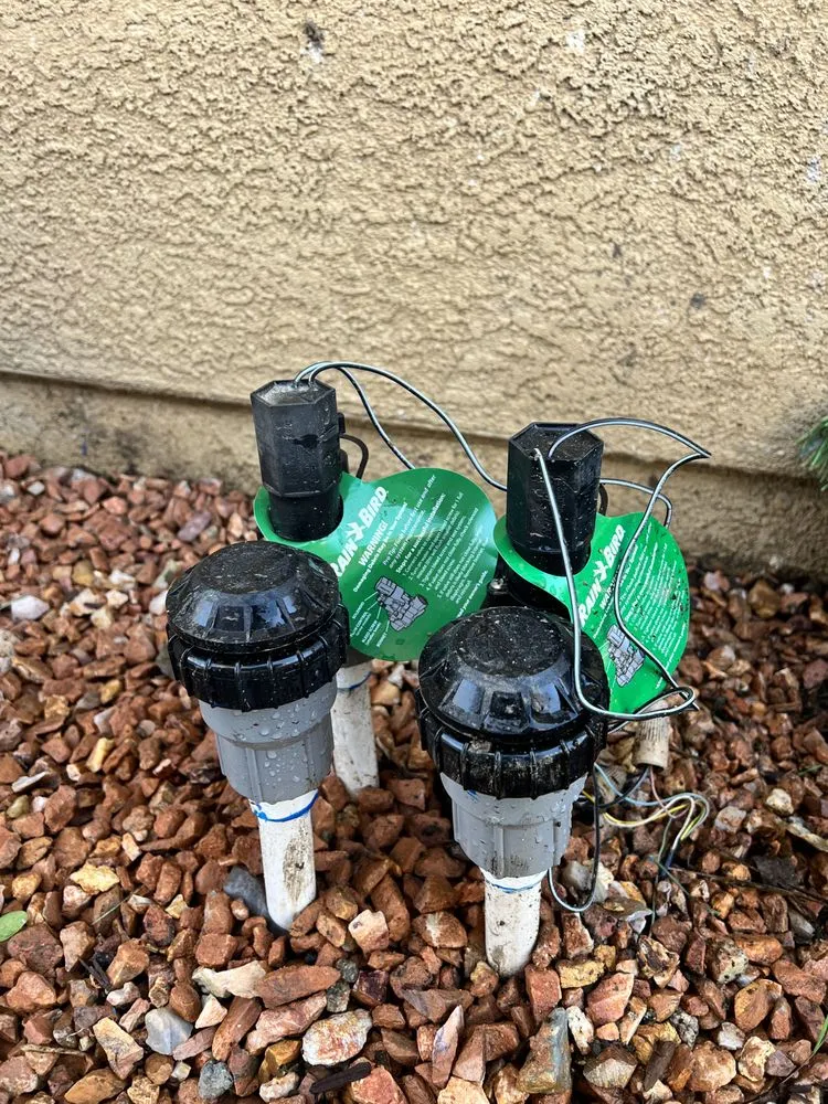 Top-rated yard cleanup service in Fontana, CA - Exclusive Hardscape & Exterior Design