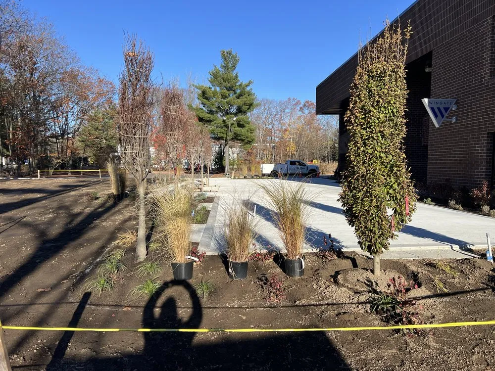 Affordable lawn care service for outdoor upgrades across Abington, MA - Exclusive Hardscapes