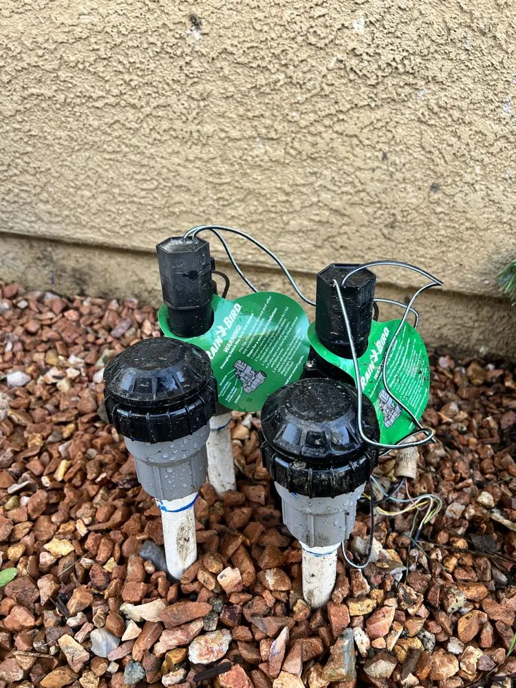 Affordable lawn mowing service in Hesperia, CA by Exclusive Landscape & Design