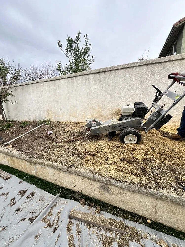 Expert yard cleanup service in Hesperia, CA by Exclusive Landscape & Design