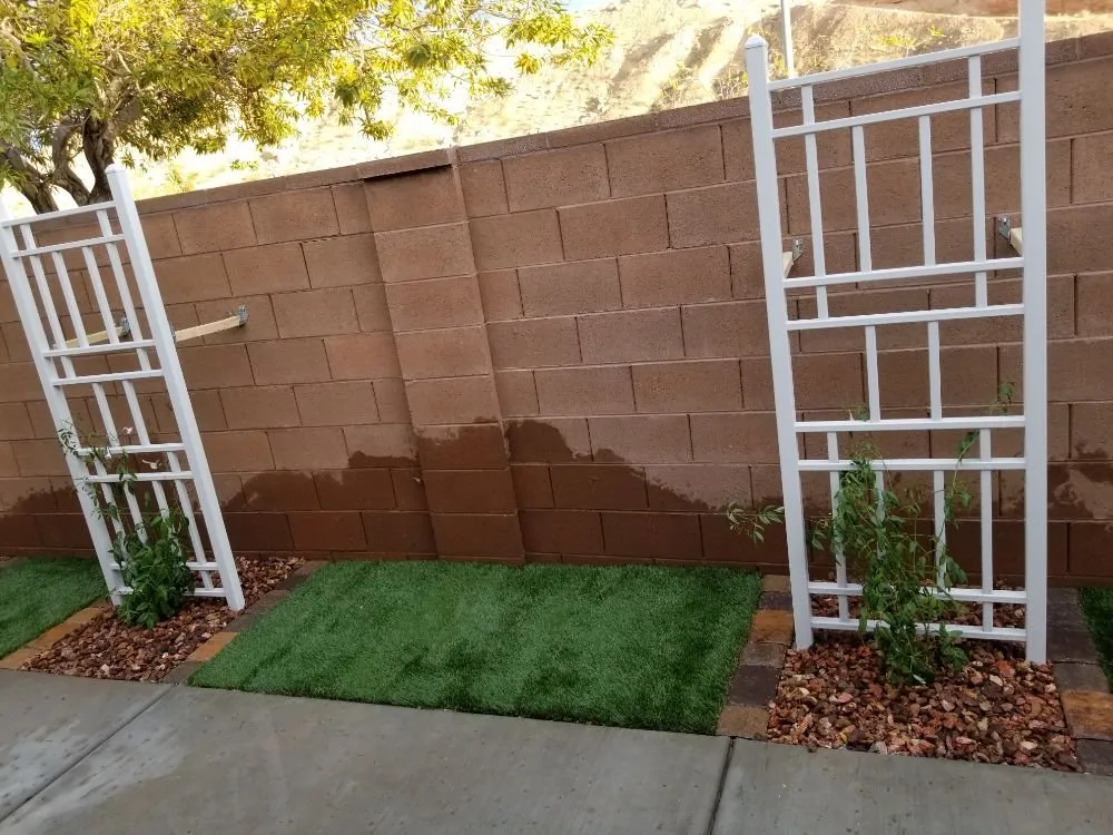 Affordable landscaping services for year-round maintenance in Las Vegas, NV by Exclusive landscape