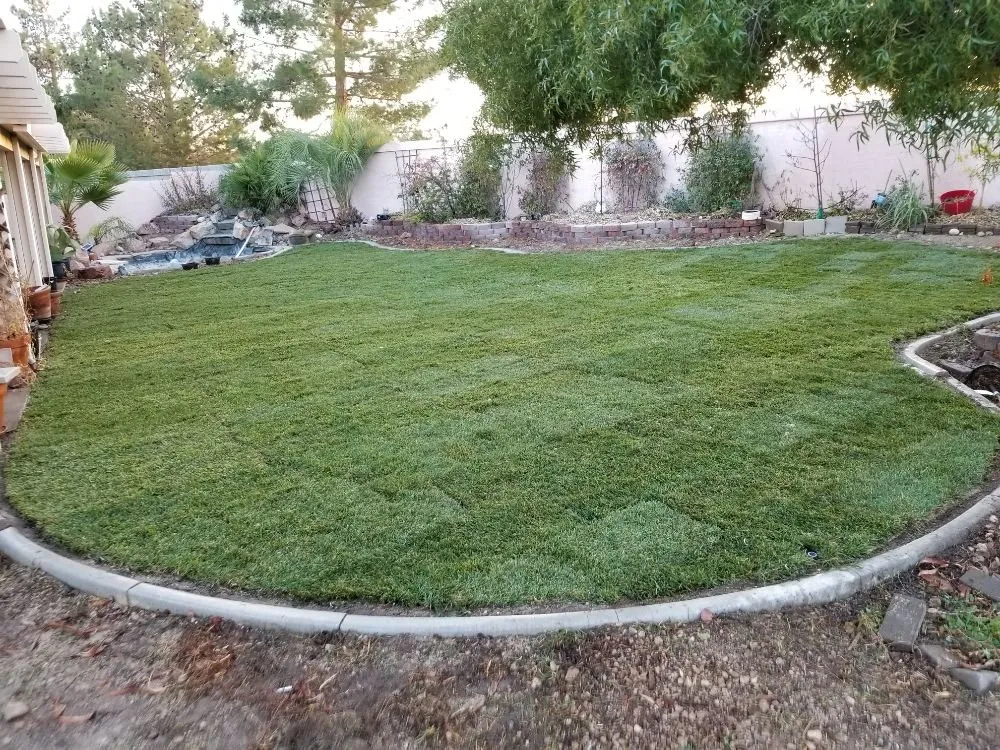 Expert lawn care service in Las Vegas, NV - Exclusive landscape