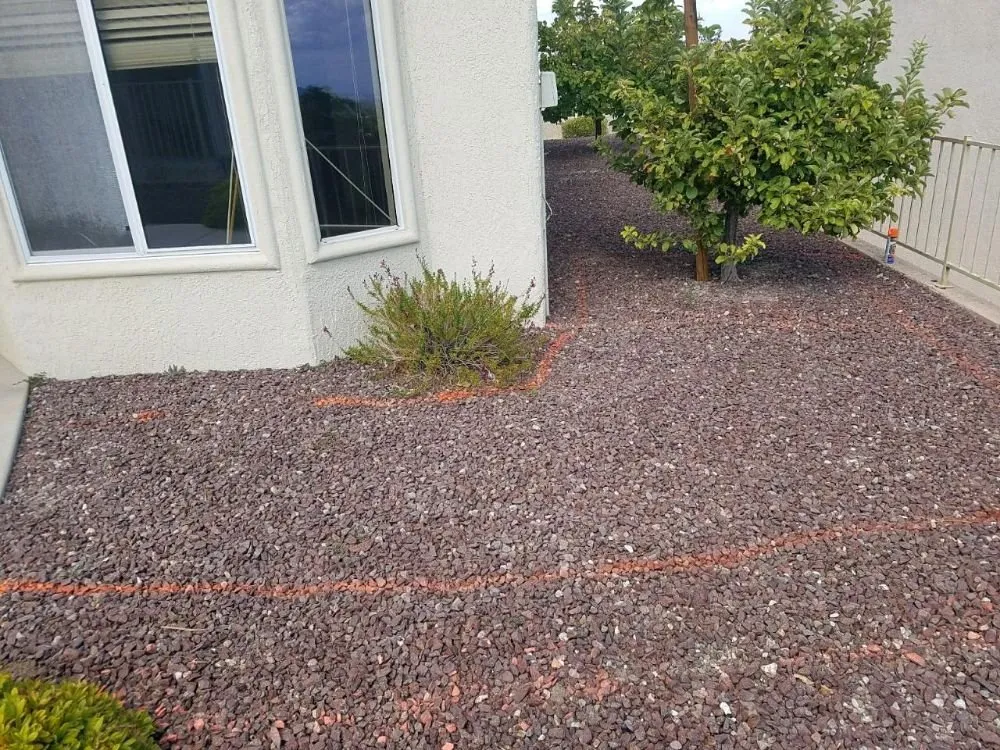 Trusted yard maintenance for year-round maintenance in Las Vegas, NV by Exclusive landscape