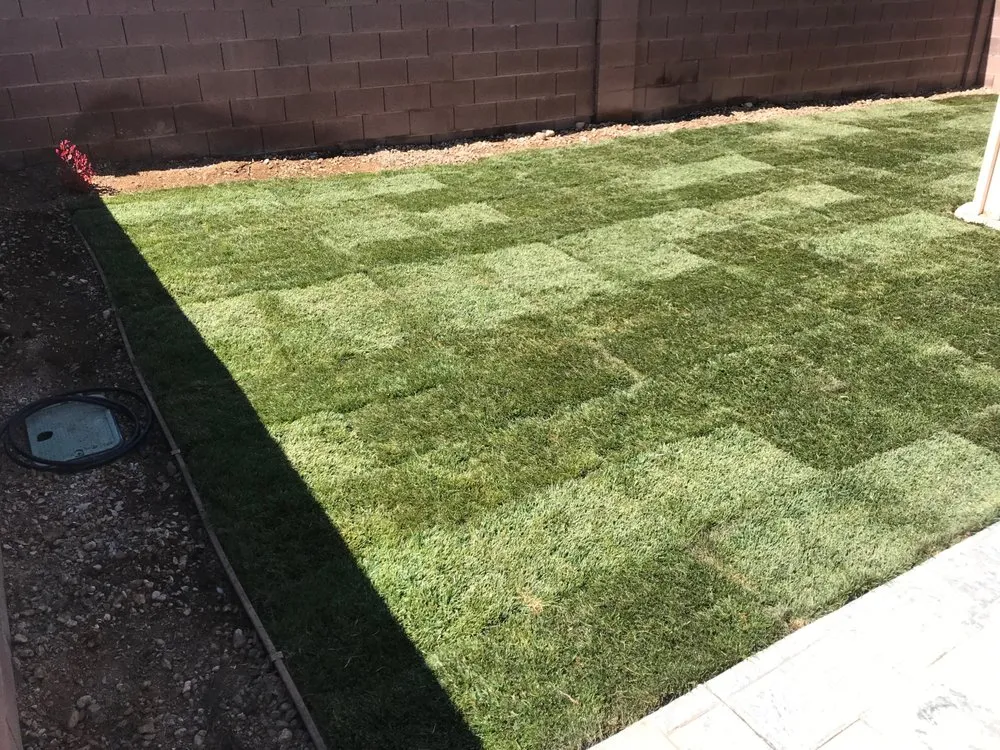 Professional lawn mowing service experts serving Las Vegas, NV - Exclusive landscape