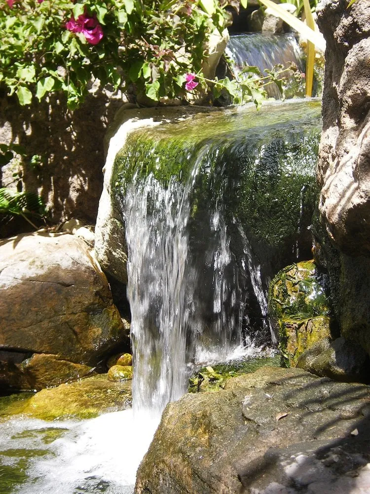 Trusted lawn care service in Ladera Ranch, CA by Exclusive Landscapes