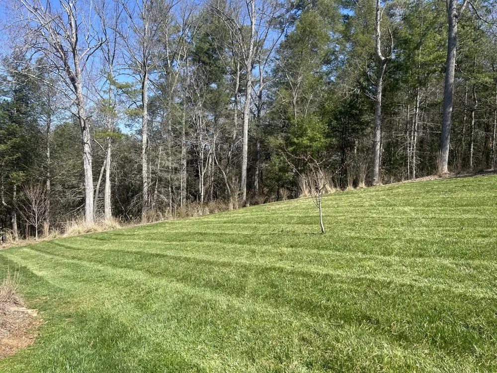 Professional landscape design in Asheville, NC by Exclusive Landscaping