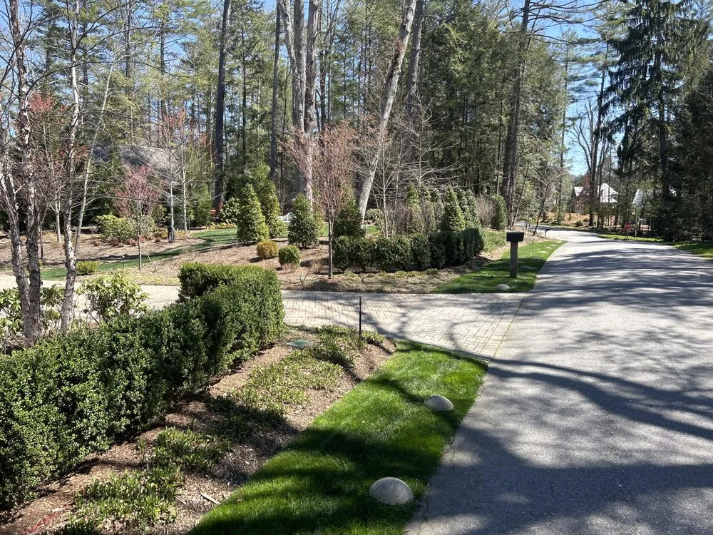 Expert yard cleanup service in Asheville, NC by Exclusive Landscaping
