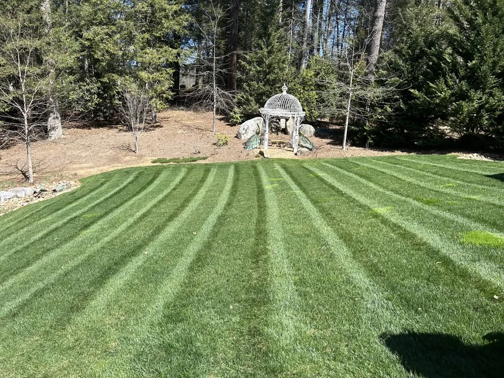 Custom yard cleanup service near you across Asheville, NC - Exclusive Landscaping