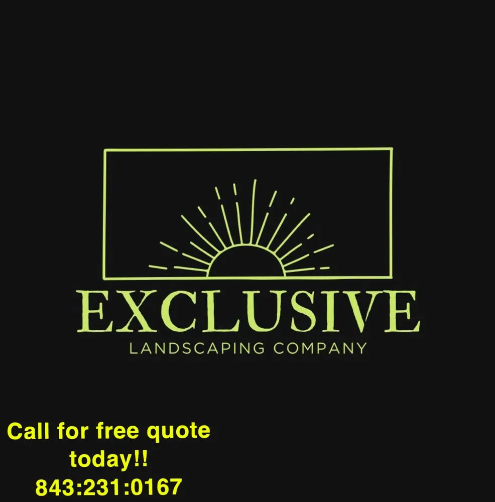 Reliable yard cleanup service in Asheville, NC - Exclusive Landscaping