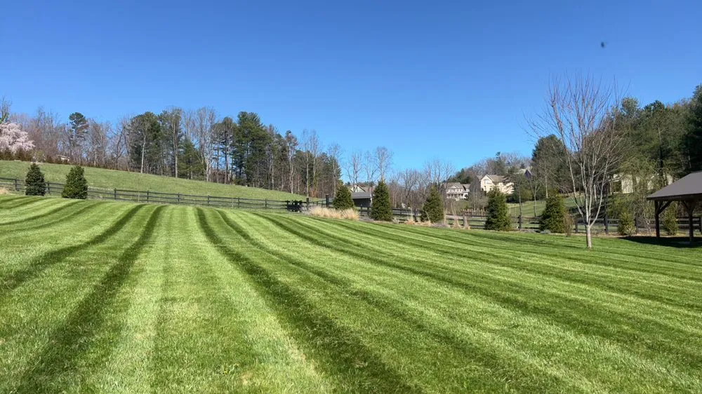 Professional lawn mowing service in Asheville, NC - Exclusive Landscaping