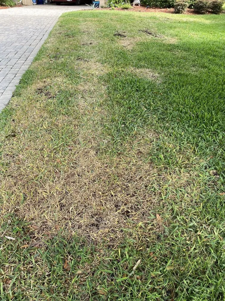 Top-rated outdoor landscaping for outdoor upgrades in Orlando, FL by Exclusive Landscaping Group