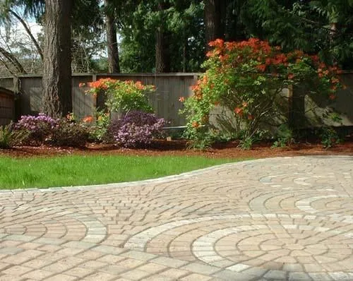 Top-rated lawn mowing service experts serving Orlando, FL - Exclusive Landscaping Group