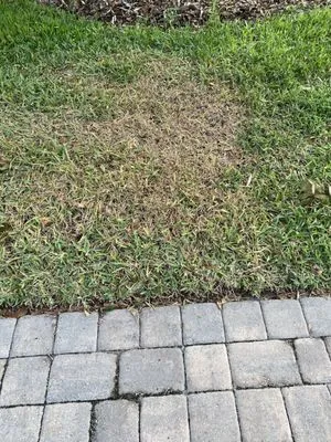 Exclusive Landscaping Group Logo