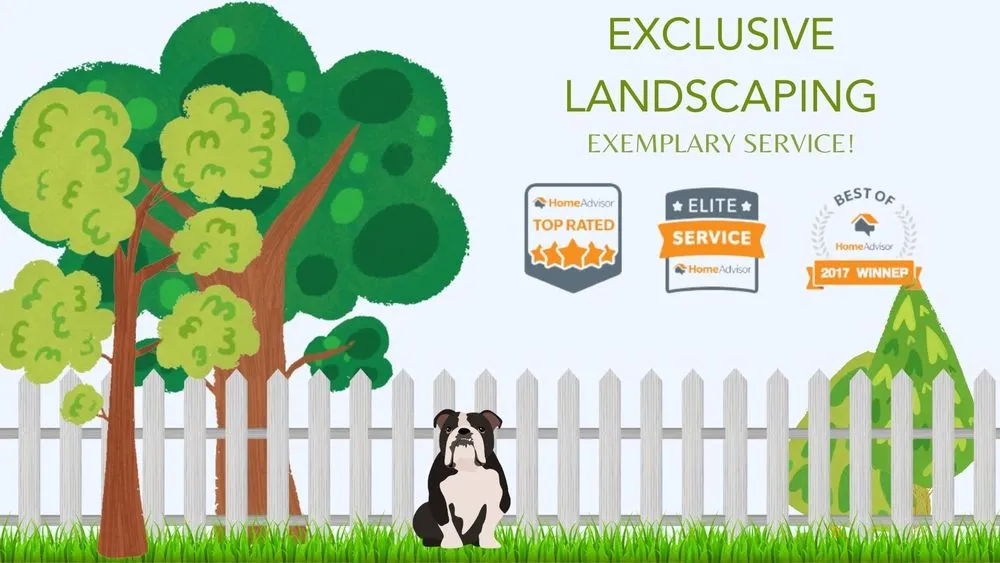 Trusted landscape installation for outdoor upgrades across San Antonio, TX - Exclusive Landscaping