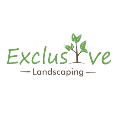 Local lawn mowing service for outdoor upgrades across San Antonio, TX - Exclusive Landscaping