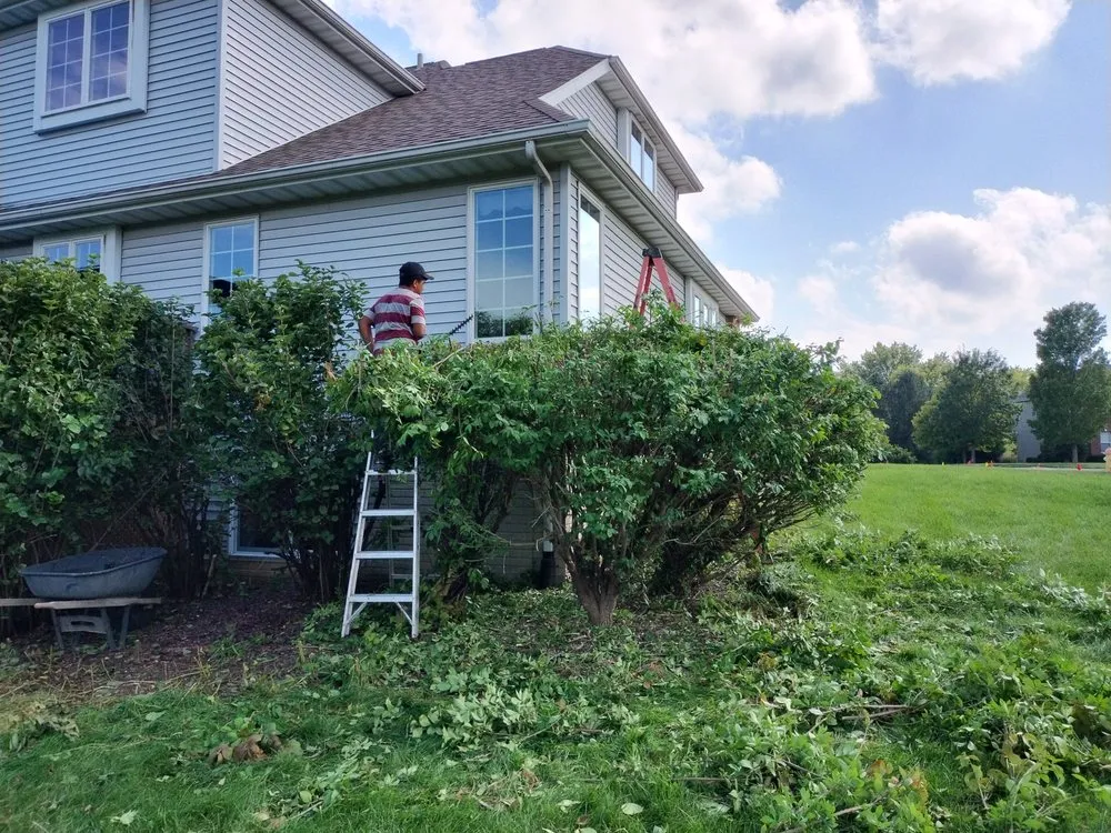 Top-rated lawn mowing service in Peoria, IL - Exclusive landscaping.inc