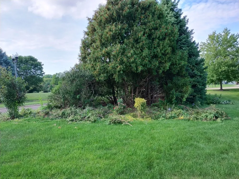 Trusted lawn mowing service in Peoria, IL by Exclusive landscaping.inc