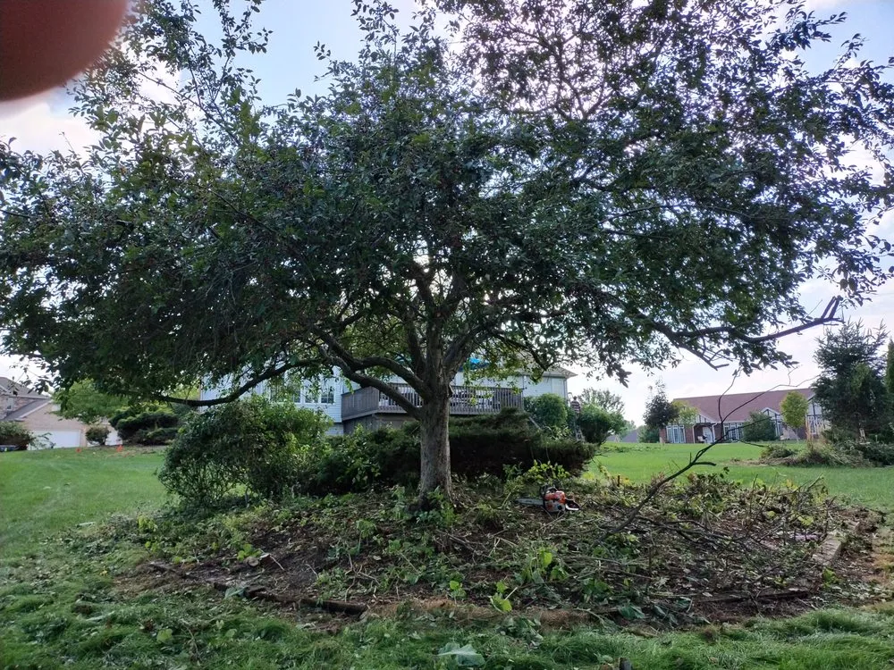 Trusted yard cleanup service with custom design across Peoria, IL - Exclusive landscaping.inc