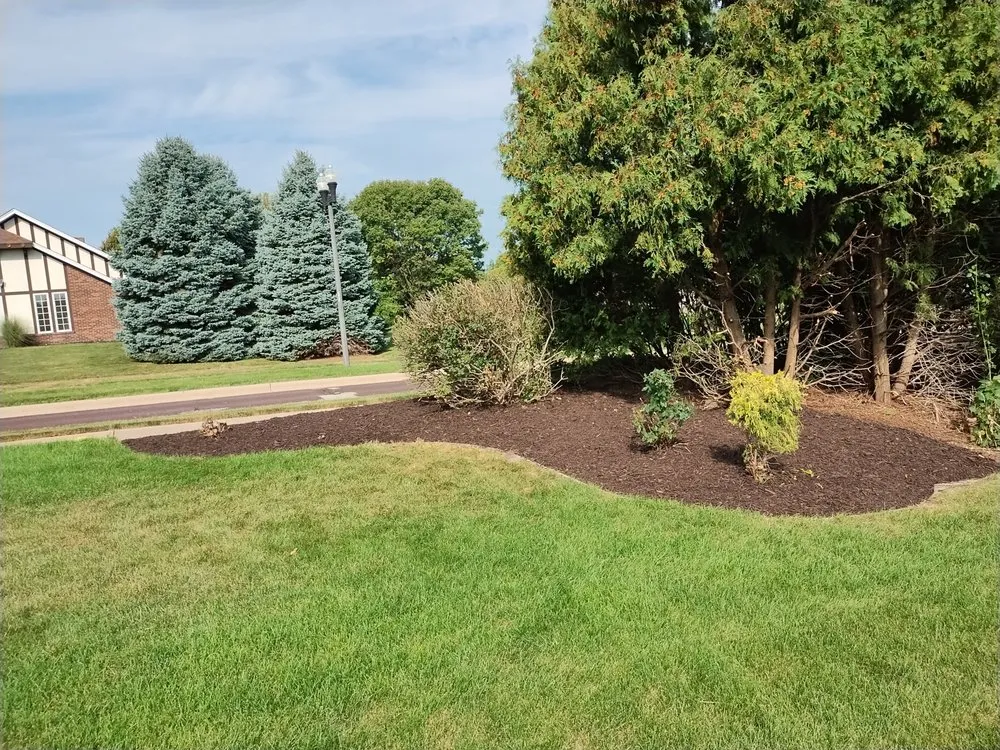 Trusted residential landscaping for beautiful yards across Peoria, IL - Exclusive landscaping.inc