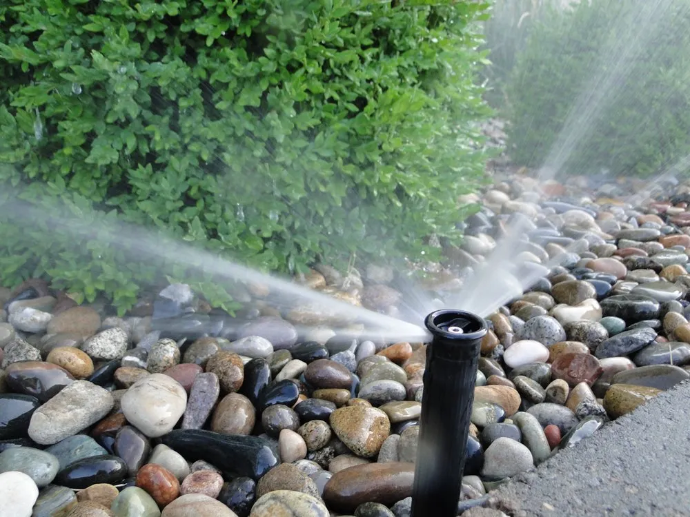 Local yard maintenance in Lees Summit, MO - Exclusive Lawns