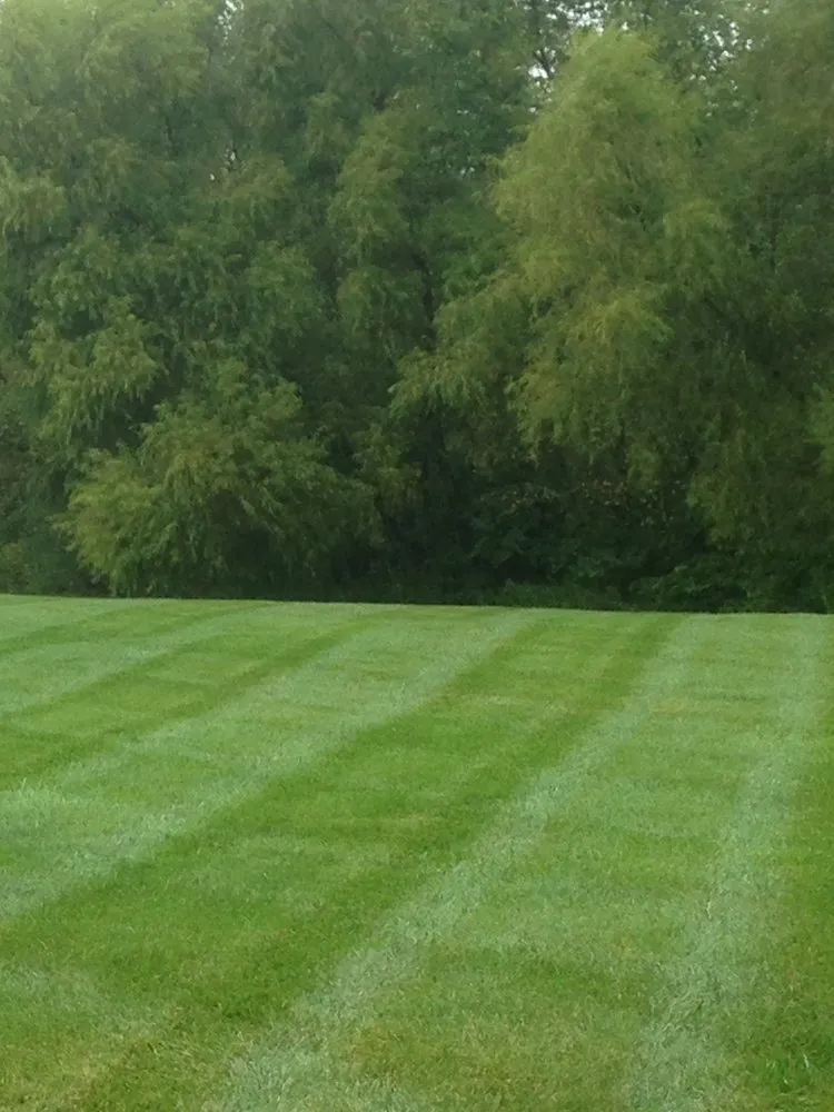 Reliable lawn mowing service in Lees Summit, MO - Exclusive Lawns