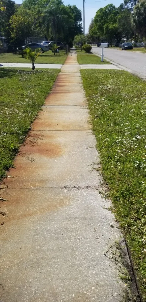 Top-rated lawn care service in Tampa, FL - Exclusive Property Maintenance