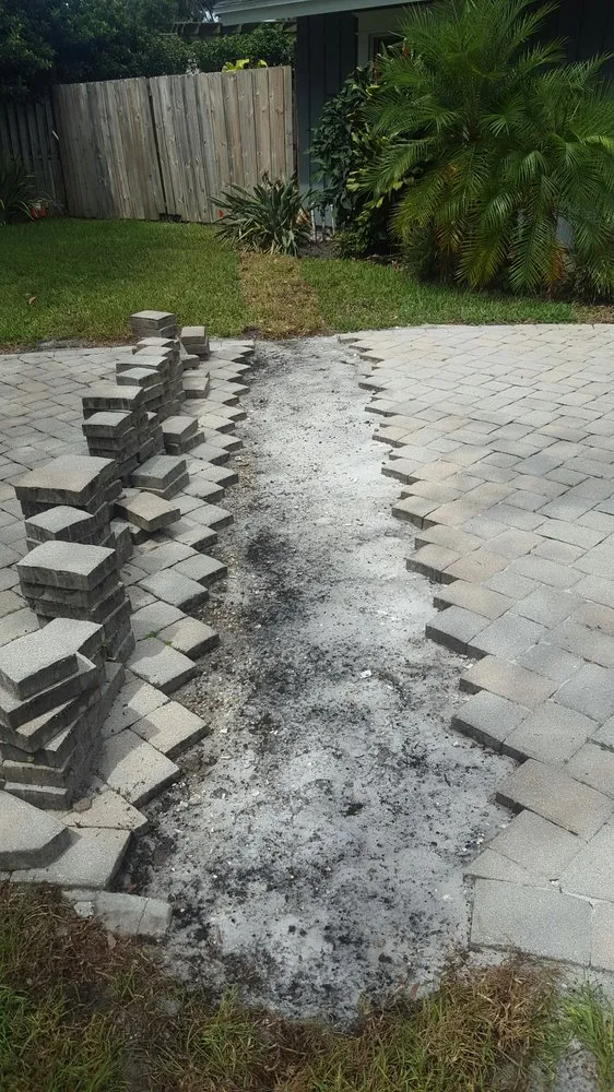 Reliable landscape design in Tampa, FL by Exclusive Property Maintenance