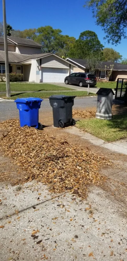 Top-rated lawn care service near you in Tampa, FL by Exclusive Property Maintenance