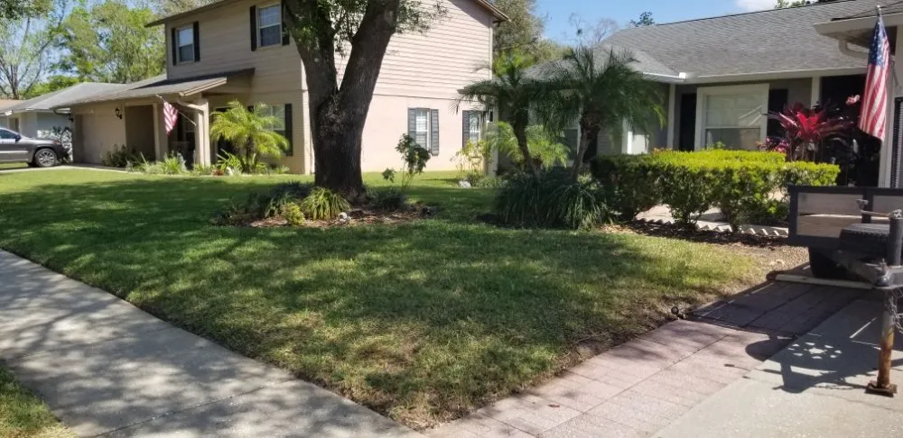 Local outdoor landscaping in Tampa, FL - Exclusive Property Maintenance