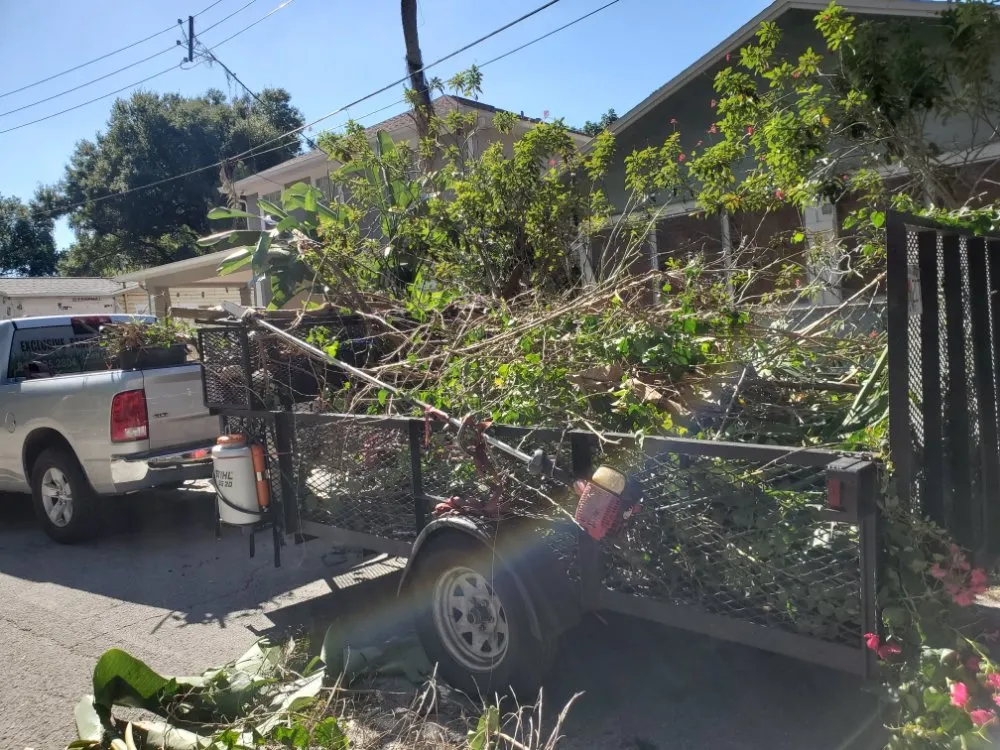 Affordable garden landscaping in Tampa, FL - Exclusive Property Maintenance