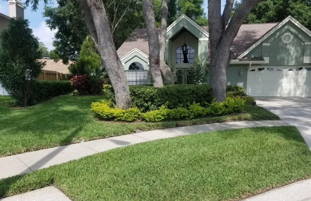 Affordable yard cleanup service for year-round maintenance in Tampa, FL by Exclusive Property Maintenance
