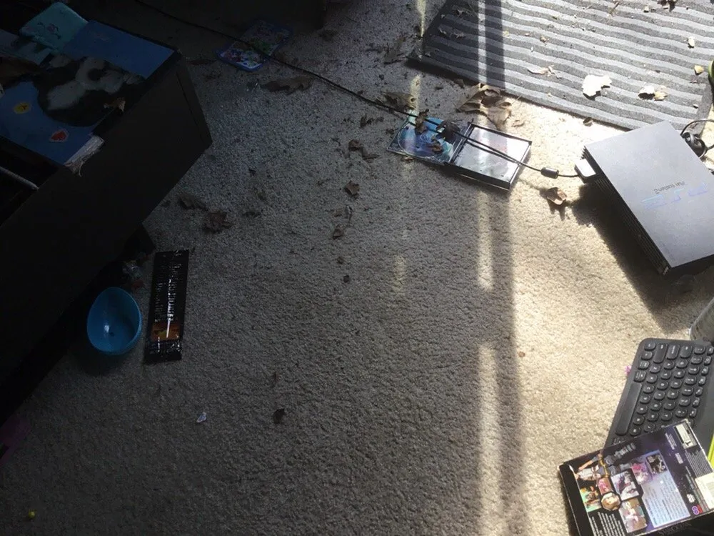 Reliable outdoor landscaping experts serving Bowie, MD - Exec-U-Lawn