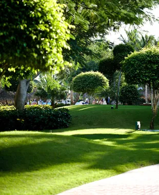 Trusted yard maintenance for outdoor upgrades across Newark, OH - Execu-Lawn