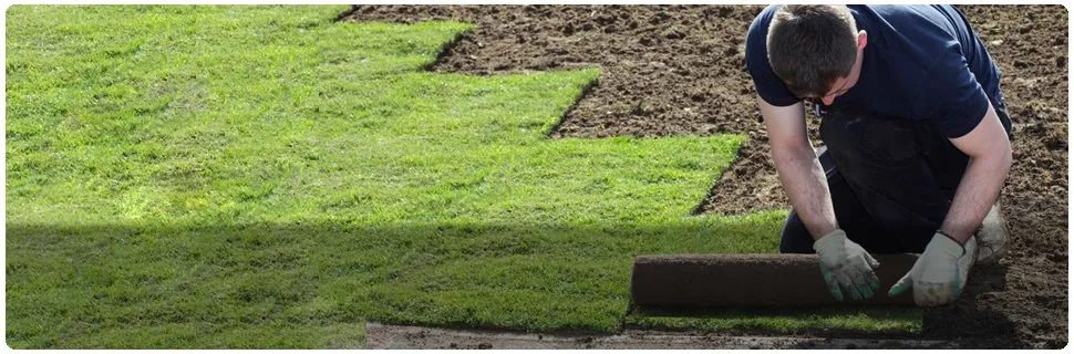 Trusted landscape design in Newark, OH - Execu-Lawn