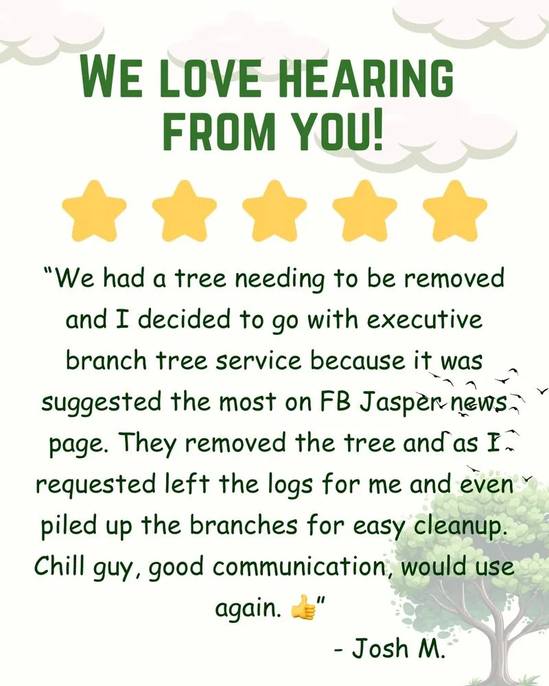 Trusted yard cleanup service for beautiful yards across Jasper, GA - Executive Branch Tree Service