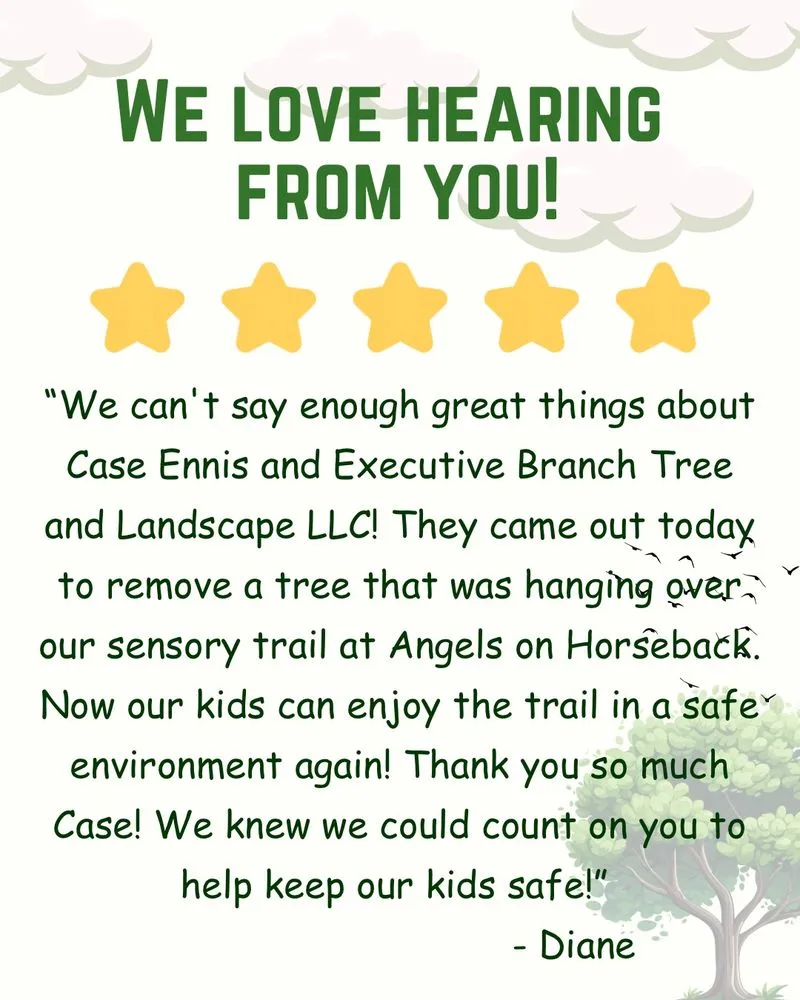 Affordable landscape installation near you in Jasper, GA by Executive Branch Tree Service