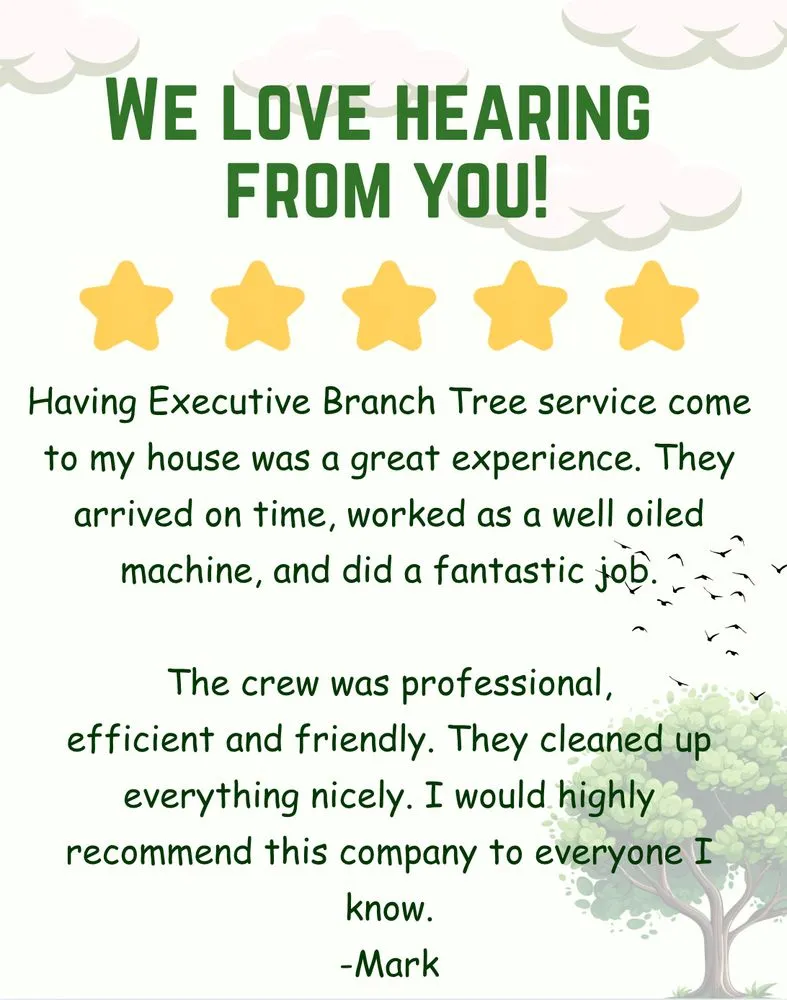 Trusted landscape installation in Jasper, GA by Executive Branch Tree Service