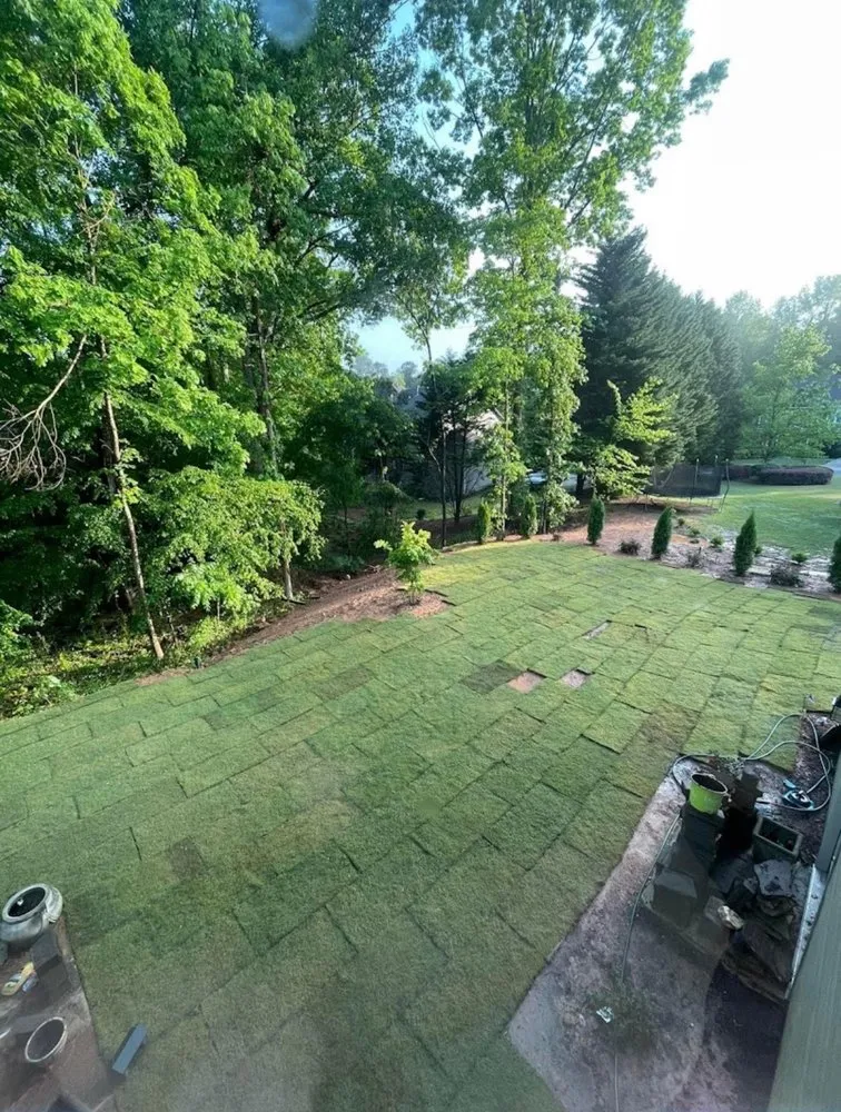 Professional landscape design with custom design across Jasper, GA - Executive Branch Tree Service