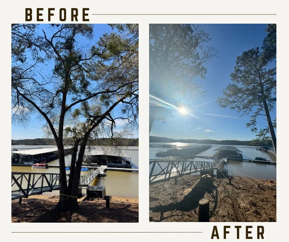 Reliable yard maintenance for homes in Jasper, GA by Executive Branch Tree Service