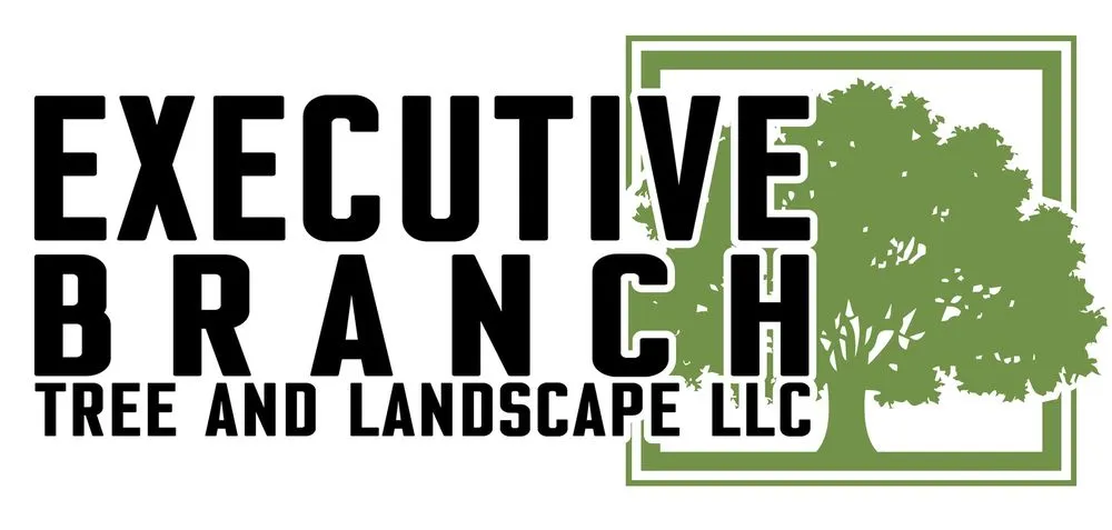 Local residential landscaping with custom design in Jasper, GA by Executive Branch Tree Service