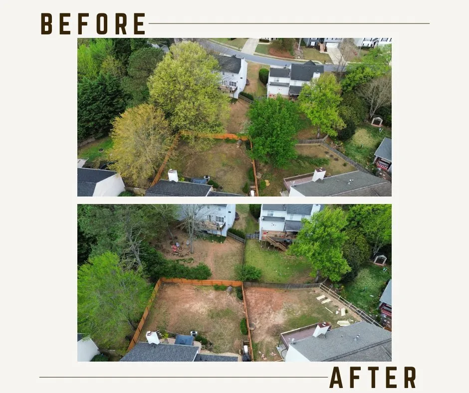 Expert landscape design for beautiful yards in Jasper, GA by Executive Branch Tree Service