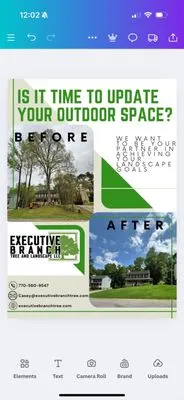 Executive Branch Tree Service