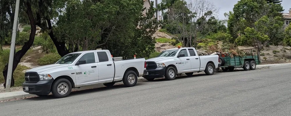 Trusted lawn mowing service experts serving Fallbrook, CA - Executive Landscape