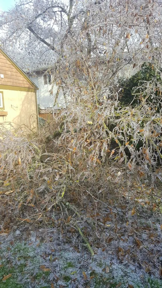 Top-rated residential landscaping in Eugene, OR by Executive Landscape Maintenance