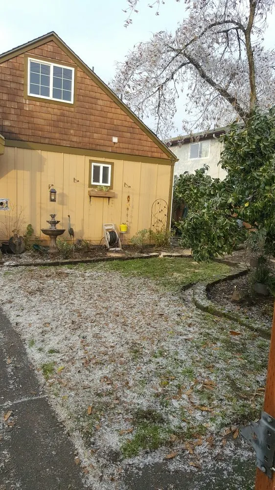 Custom lawn mowing service for residential properties in Eugene, OR by Executive Landscape Maintenance