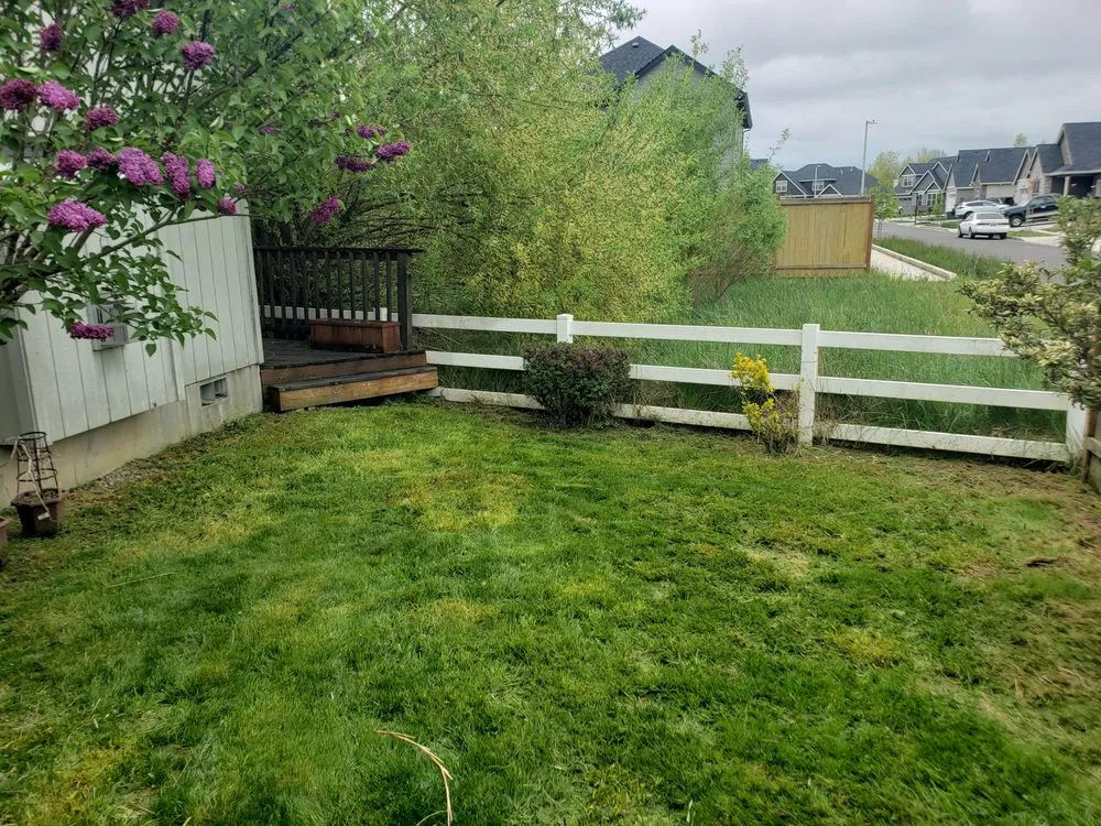 Expert yard maintenance for year-round maintenance across Eugene, OR - Executive Landscape Maintenance