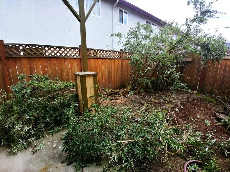 Reliable landscaping services for residential properties across Eugene, OR - Executive Landscape Maintenance