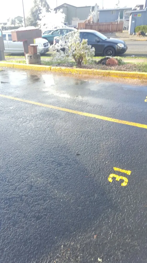 Trusted lawn care service in Eugene, OR by Executive Landscape Maintenance