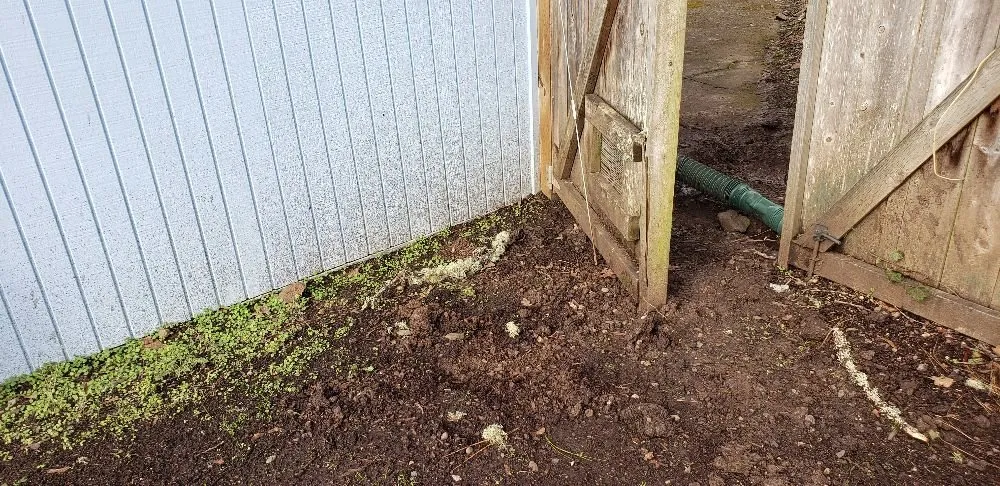 Professional lawn mowing service near you in Eugene, OR by Executive Landscape Maintenance