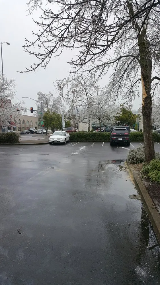 Local landscaping services in Eugene, OR - Executive Landscape Maintenance